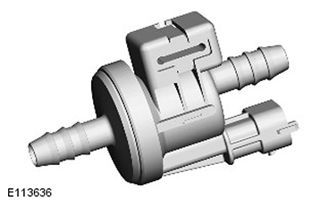 G11416821