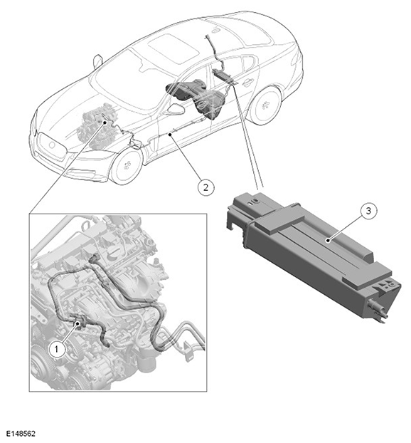G11416857