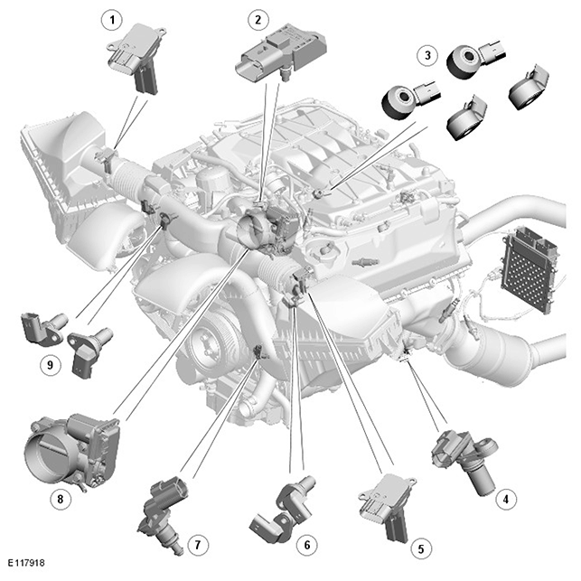 G11416875
