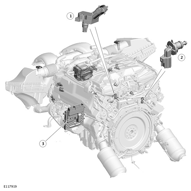 G11416876