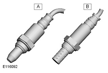 G11416889