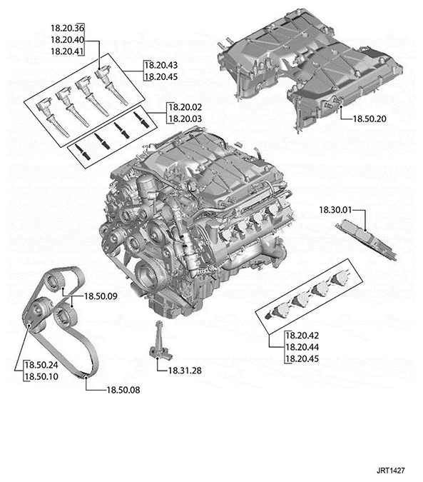G11416919