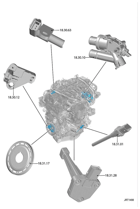 G11416936