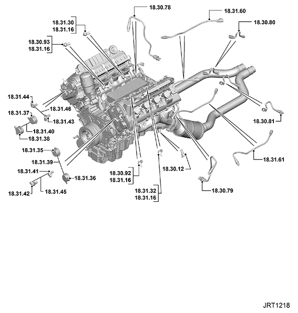 G11416953