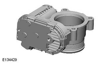G11417154