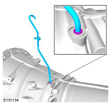 G11417391