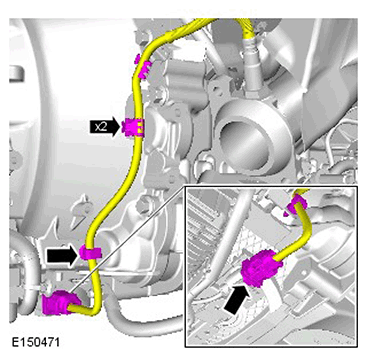 G11417518