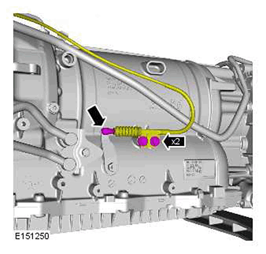 G11417658