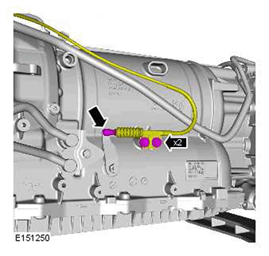 G11417717