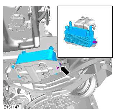G11417780