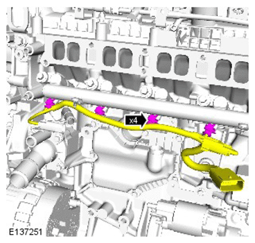 G11418281