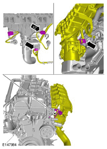 G11418362