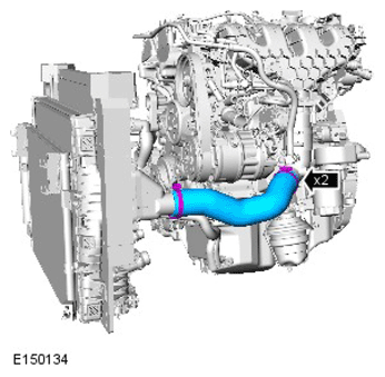G11418505
