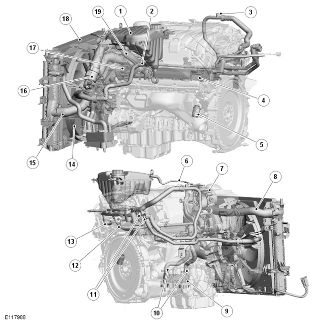 G11418511