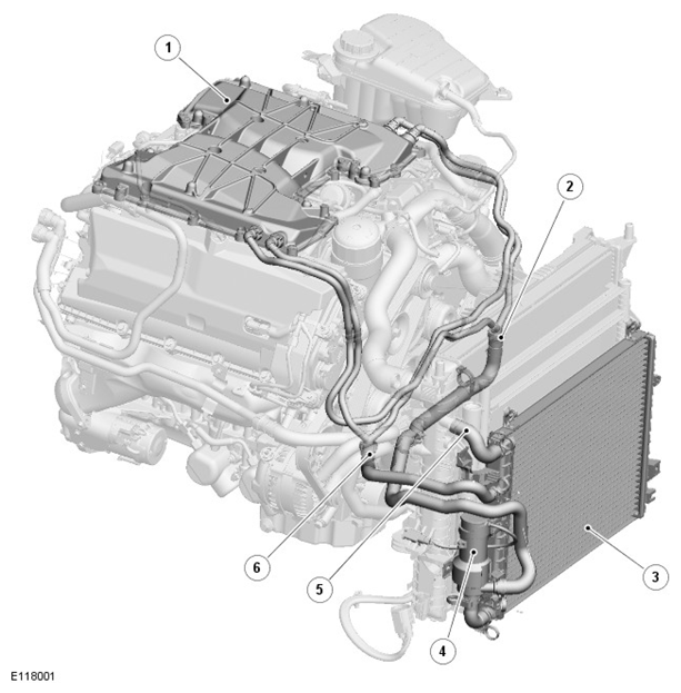 G11418656