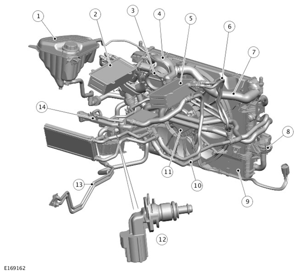 G11418689