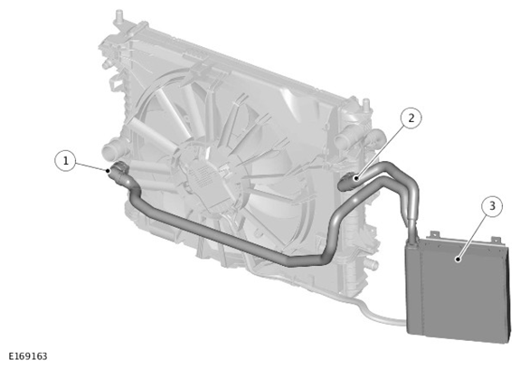 G11418690
