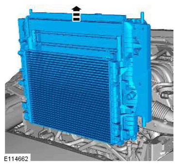G11418768