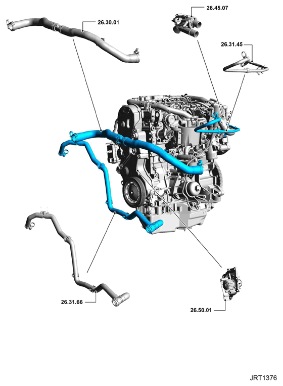 G11418770