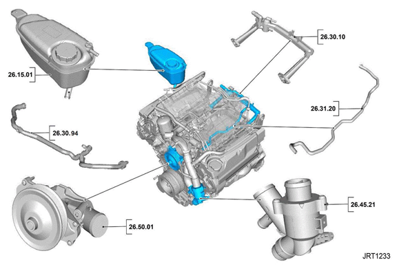 G11418891