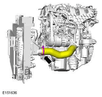 G11418908