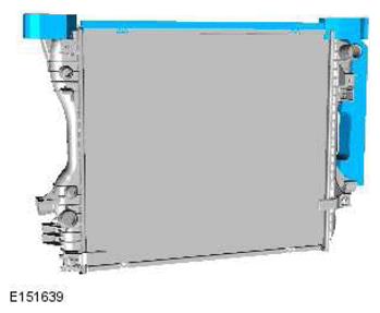 G11418918