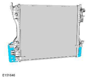 G11418919