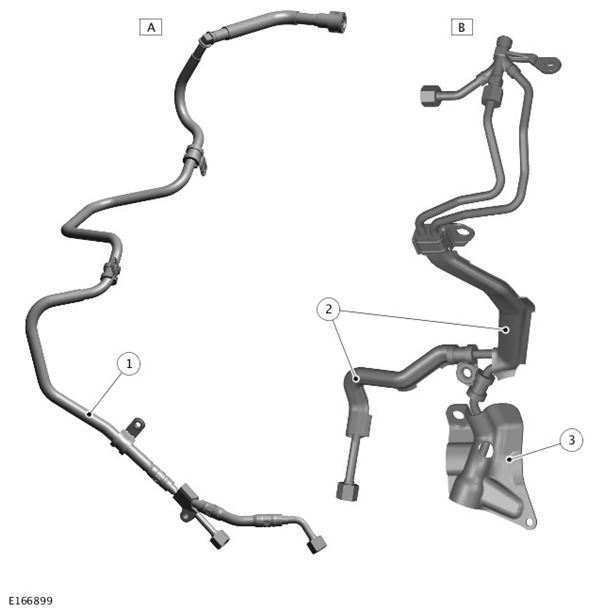 G11419129