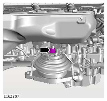 G11419217