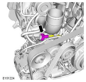 G11419509
