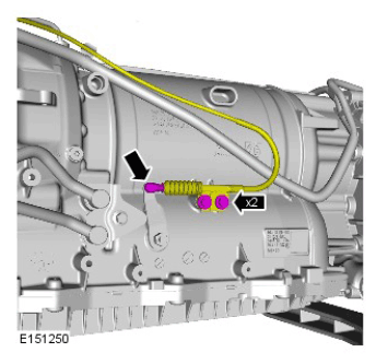 G11420567