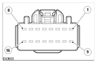 G11420591