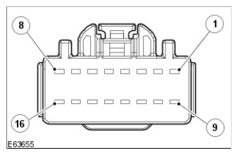G11420594