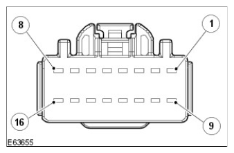 G11420596