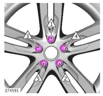 G11420613