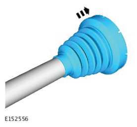 G11420867