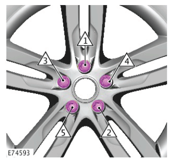 G11420894