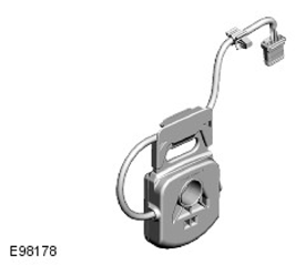 G11421032