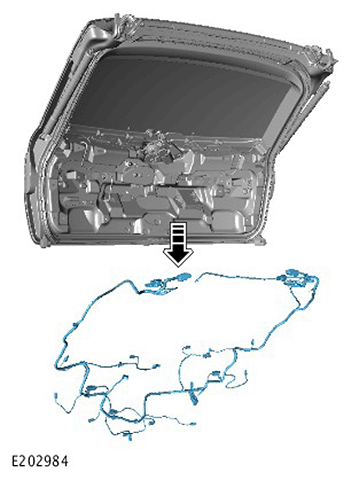 G11422458