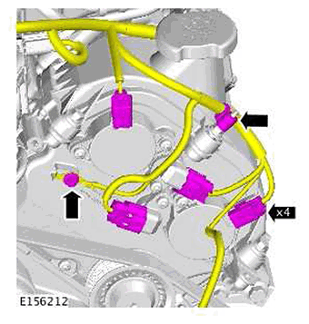 G11422524