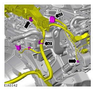 G11422530