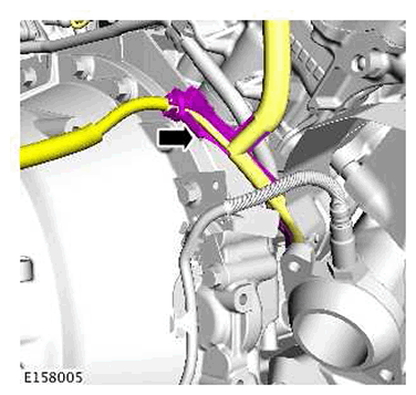 G11422532