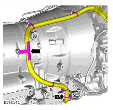 G11422533
