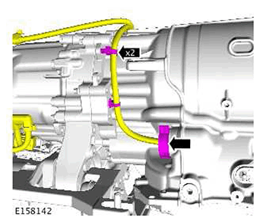 G11422534