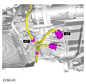 G11422537