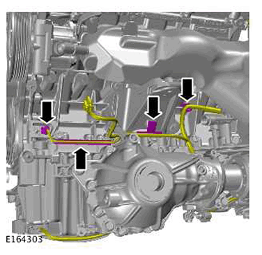 G11422542