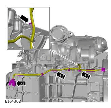 G11422543