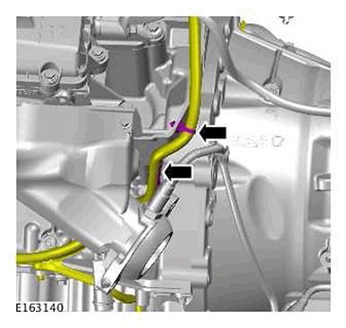 G11422544
