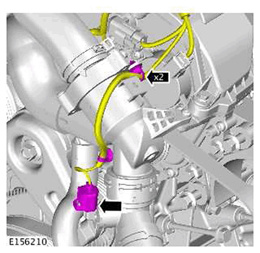 G11422559