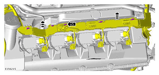 G11422564